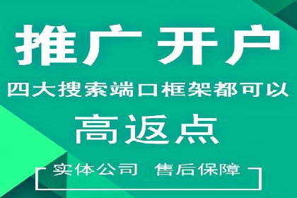 某科技公司SEM策略调整，实现业务快速增长